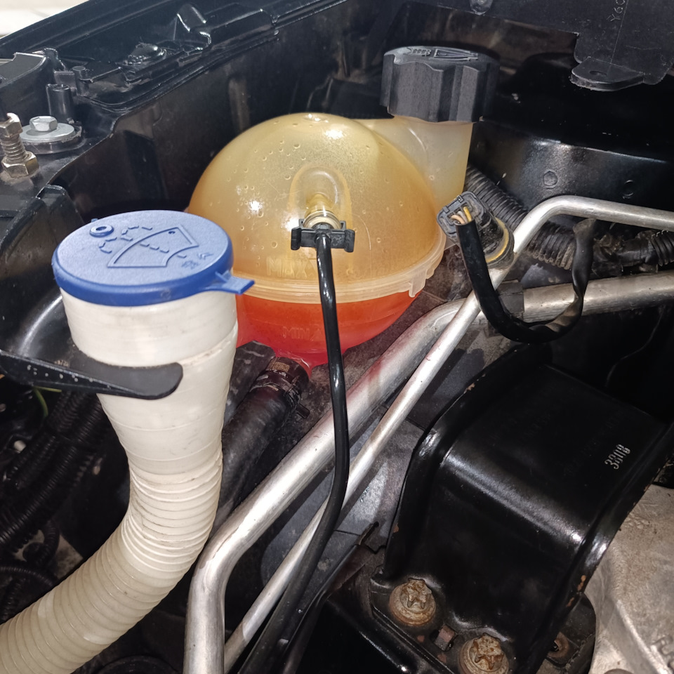 Промывка расширительного бачка, марафет под капотом — Citroen C4 (1G ...