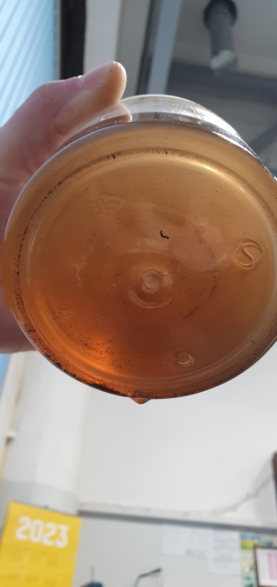 Разборка муфты фаз газораспределения(VTC) — Peugeot 406, 2,2 л, 2001 ...