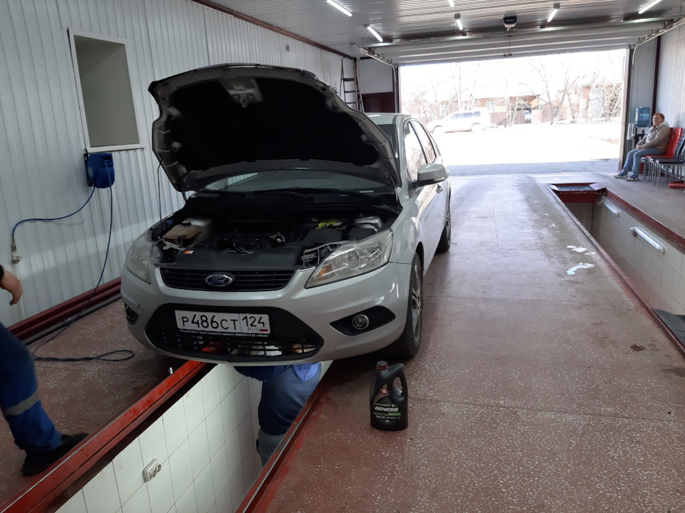 Замена масла ДВС, КПП. — Ford Focus II Hatchback, 1,6 л, 2010 года ...