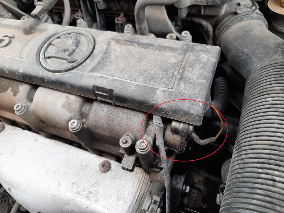 Подтеки масла на двигателе (прошу помощи) — Skoda Rapid (1G), 1,6 л ...