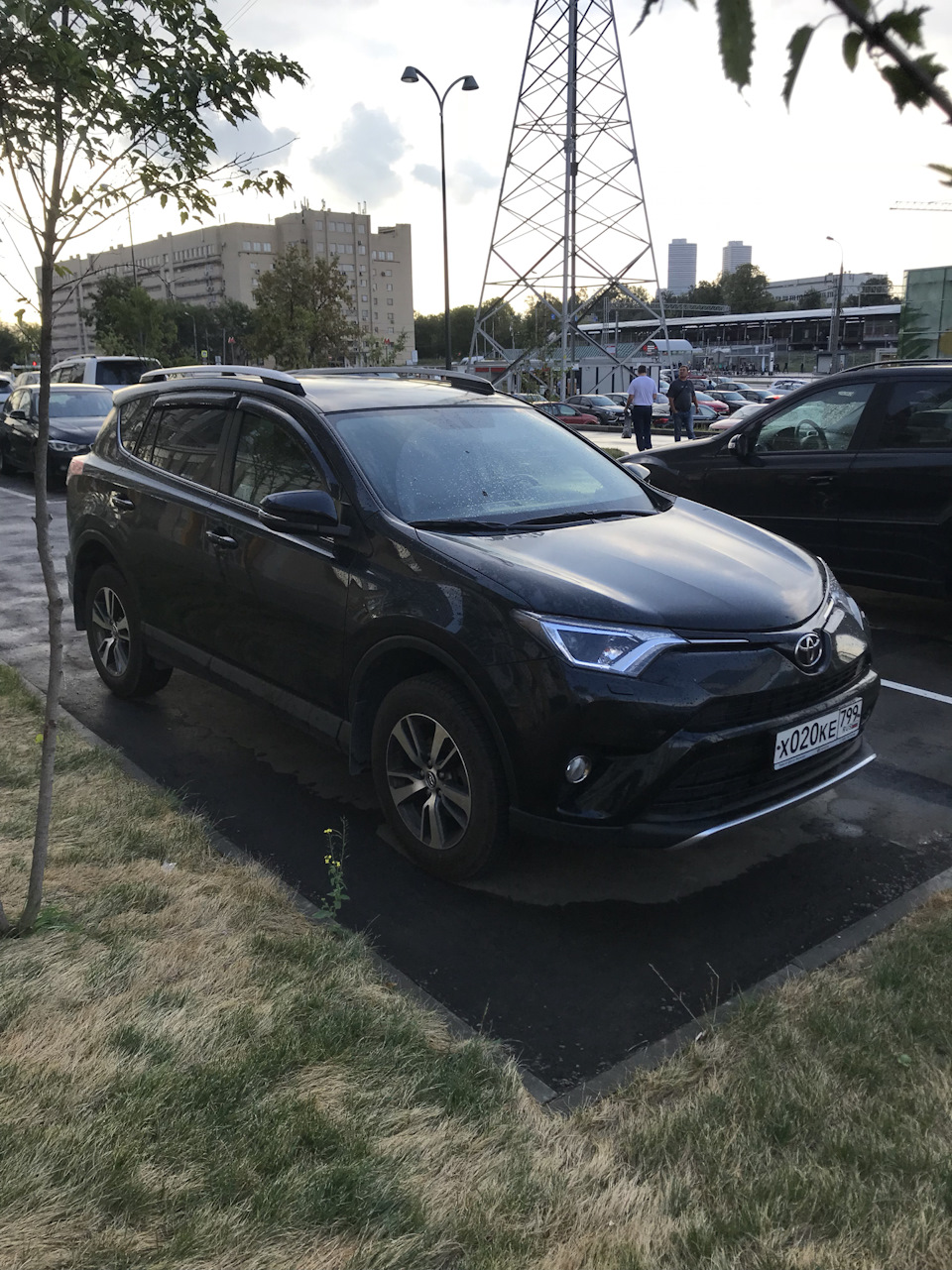 Так как есть не пойдёт… удивление после немцев не проходит — Toyota RAV4  (IV), 2 л, 2016 года | покатушки | DRIVE2