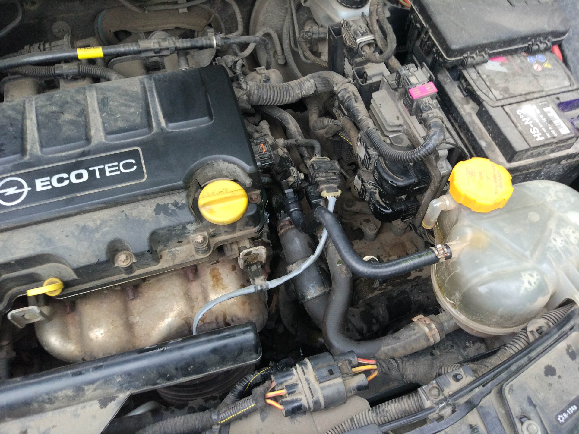 Замена шланга расширительного бачка — Opel Corsa D, 1,4 л, 2011 года ...
