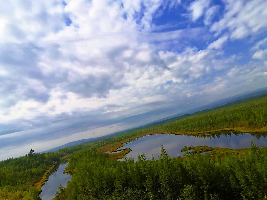 Среднее приамурье. Дальний Восток Амурская область.