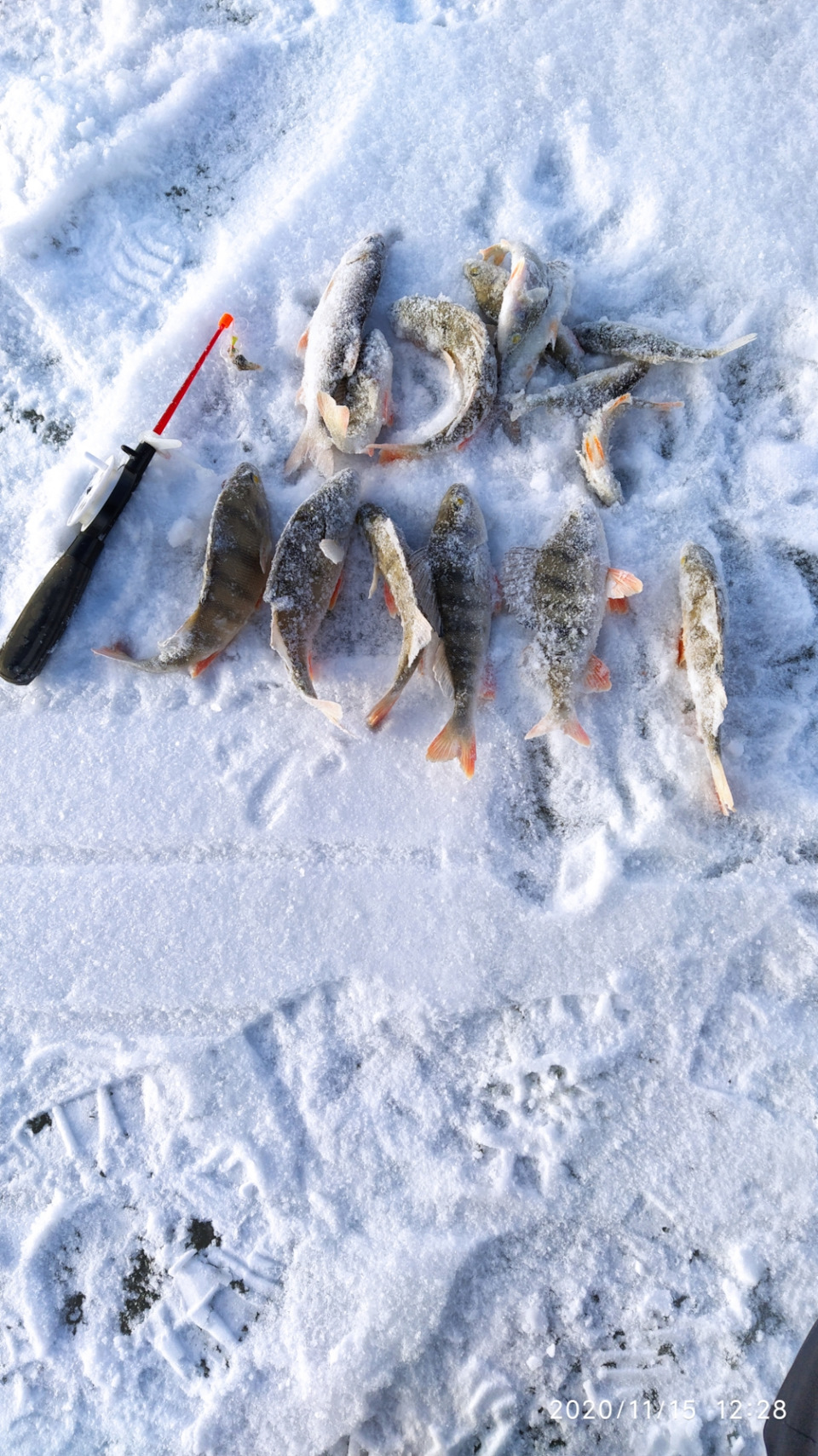 Фото в бортжурнале Volkswagen Touareg (1G)