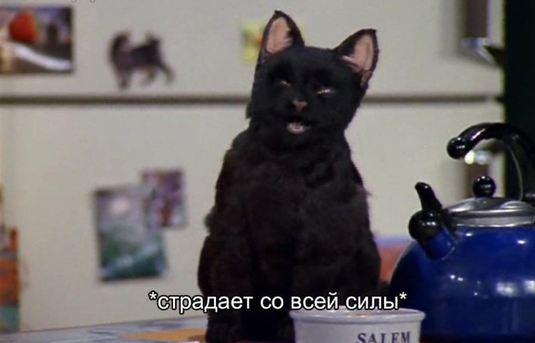 Кот сабрина маленькая ведьма
