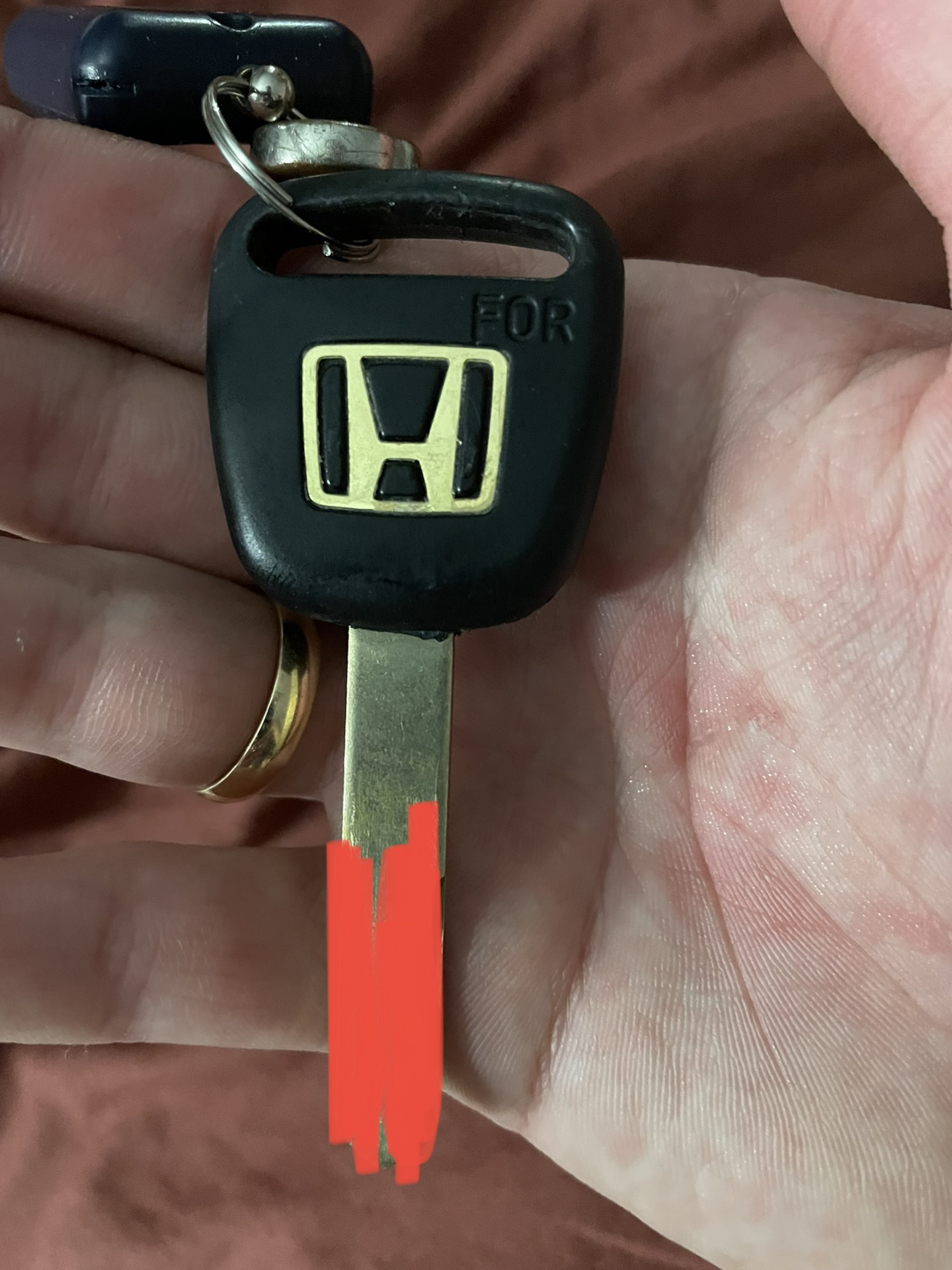 моргает ключ. моргает ключ. ключ мазда 626. бортовой компьютер гольф 6. моргает иммобилайзер.