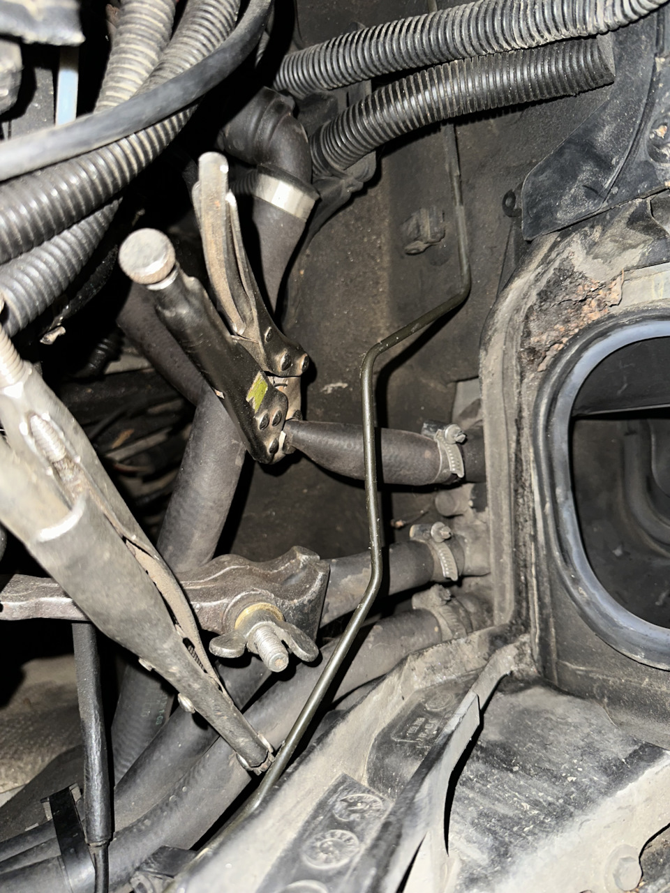 Фото в бортжурнале Land Rover Range Rover (3G)