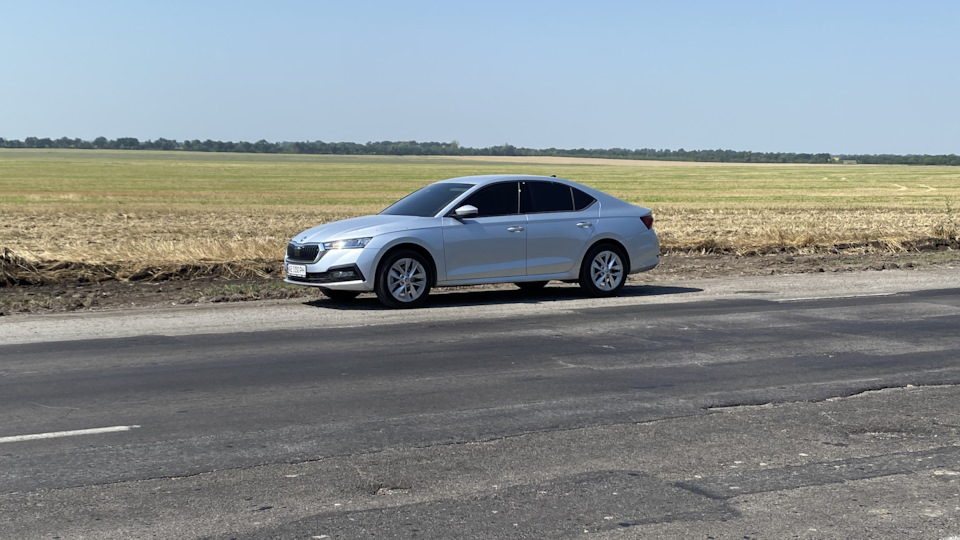 Подскажите какой размер выбрать? — Skoda Octavia A8 Mk4, 1,6 л, 2021 ...
