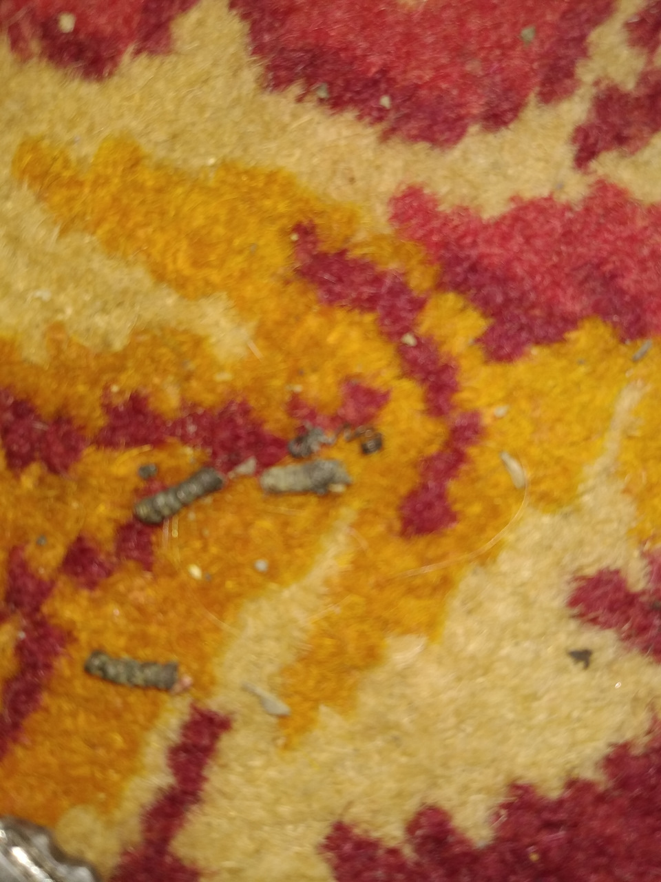 Вот и пришло её время — Daewoo Espero, 2 л., 1997 года | своими руками ...