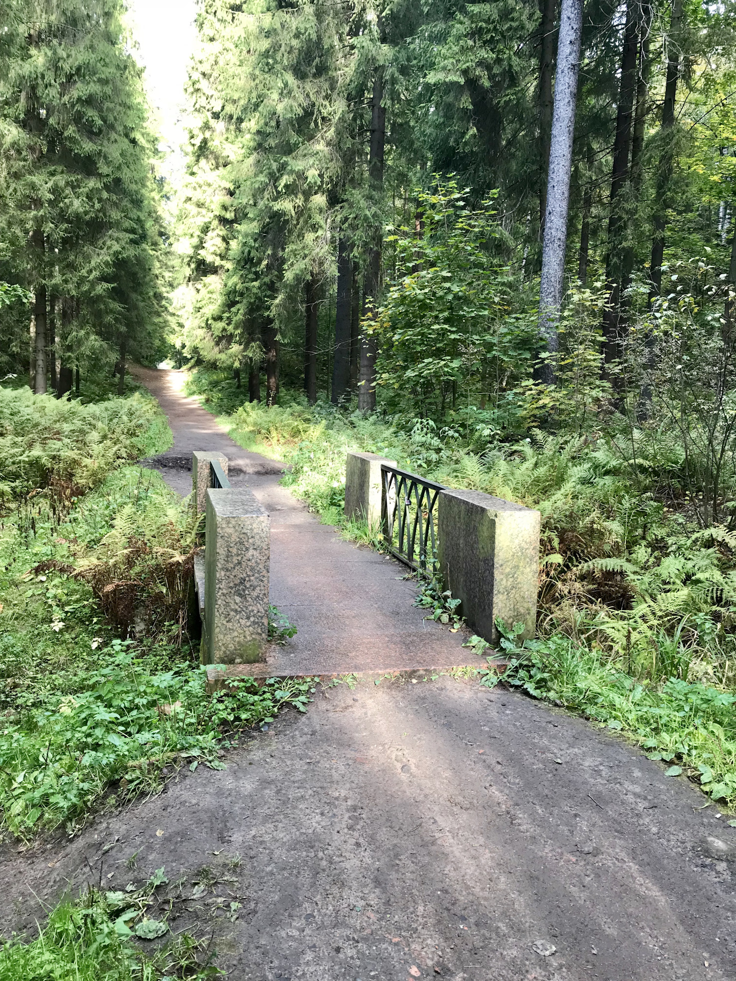 Фото Шуваловского Парка В Санкт Петербурге