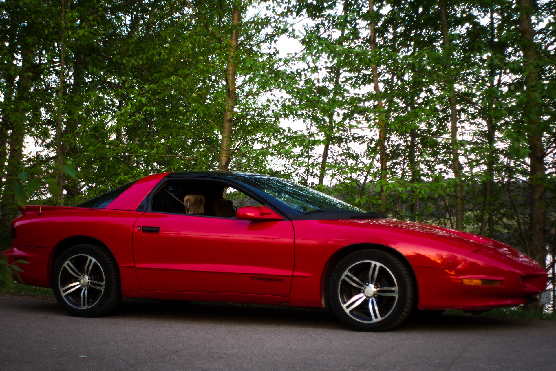 Pontiac Firebird drive2