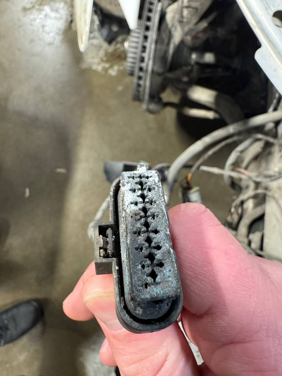 Фото в бортжурнале Mercedes-Benz C-Class (W205)