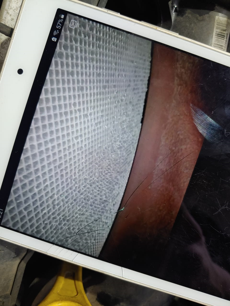 Катализатор вырезать нельзя оставить. Где ставить запятую? — KIA Rio ...