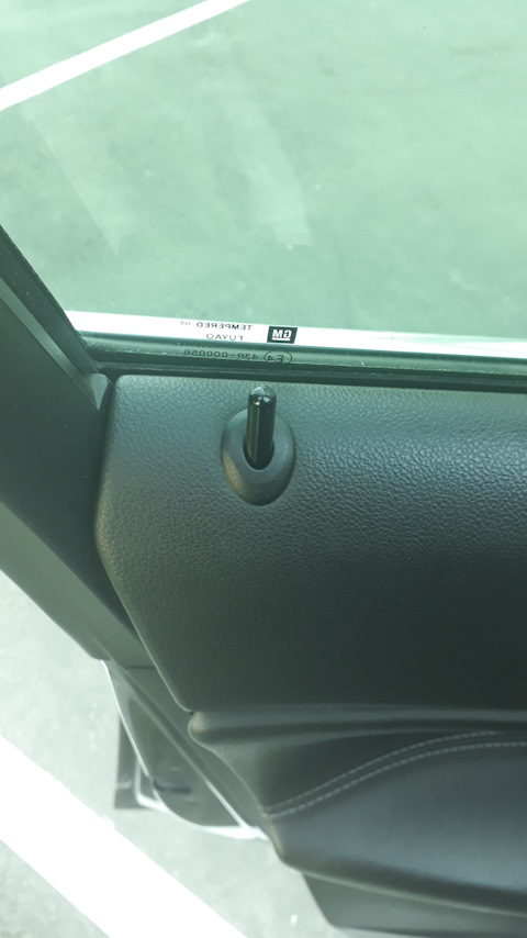 13277221 Вставка кнопки закрытия двери черная. Инсигния GM | Запчасти ...