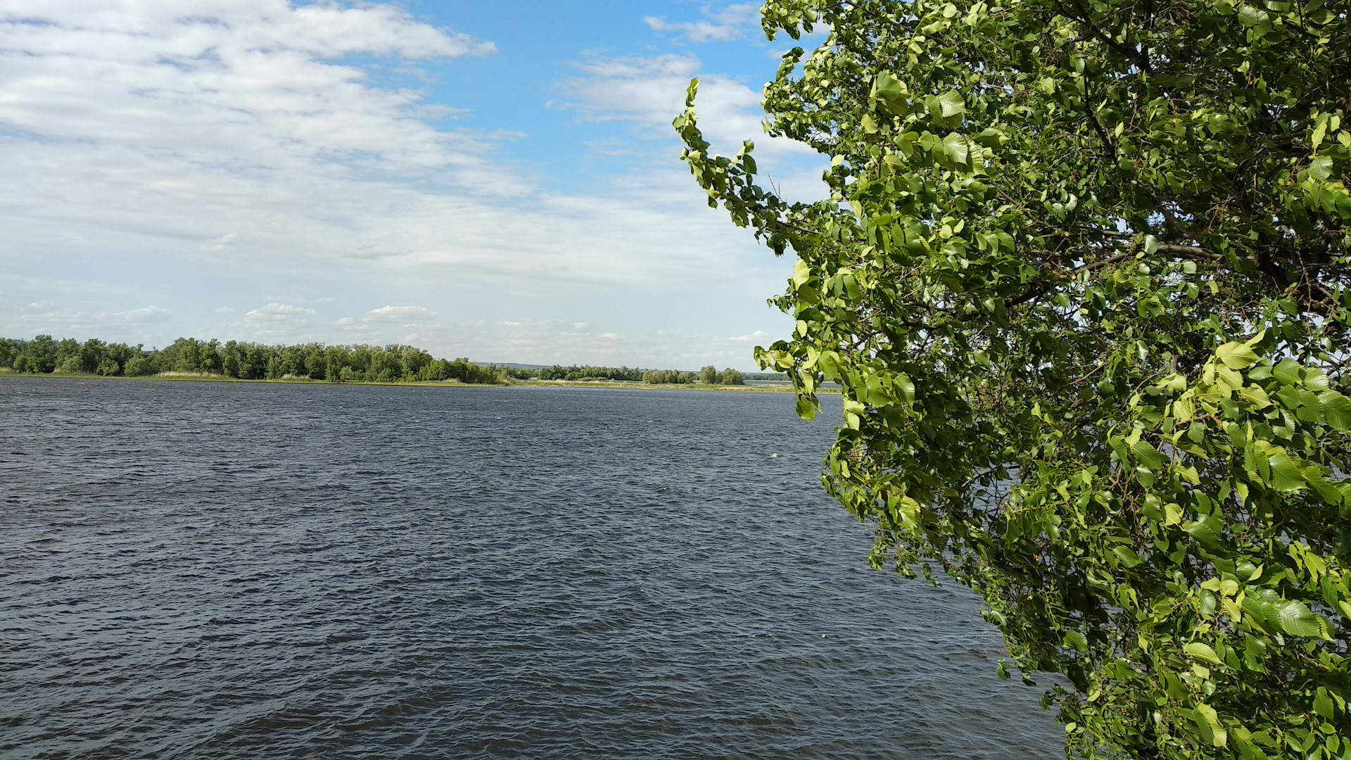 Лох (Саратовская область). Лох село в Новобурасском районе Саратовской области. Озеро лох Саратовская область. Село лох озеро.