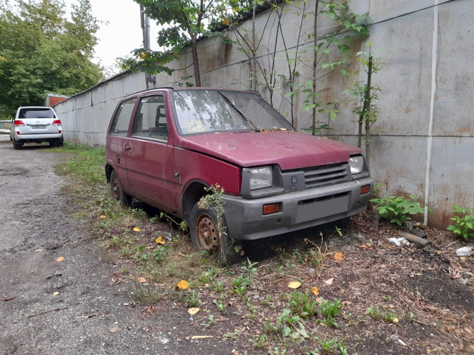 Лопнул радиатор + замена масла. — Infiniti EX, 3,5 л., 2009 года ...