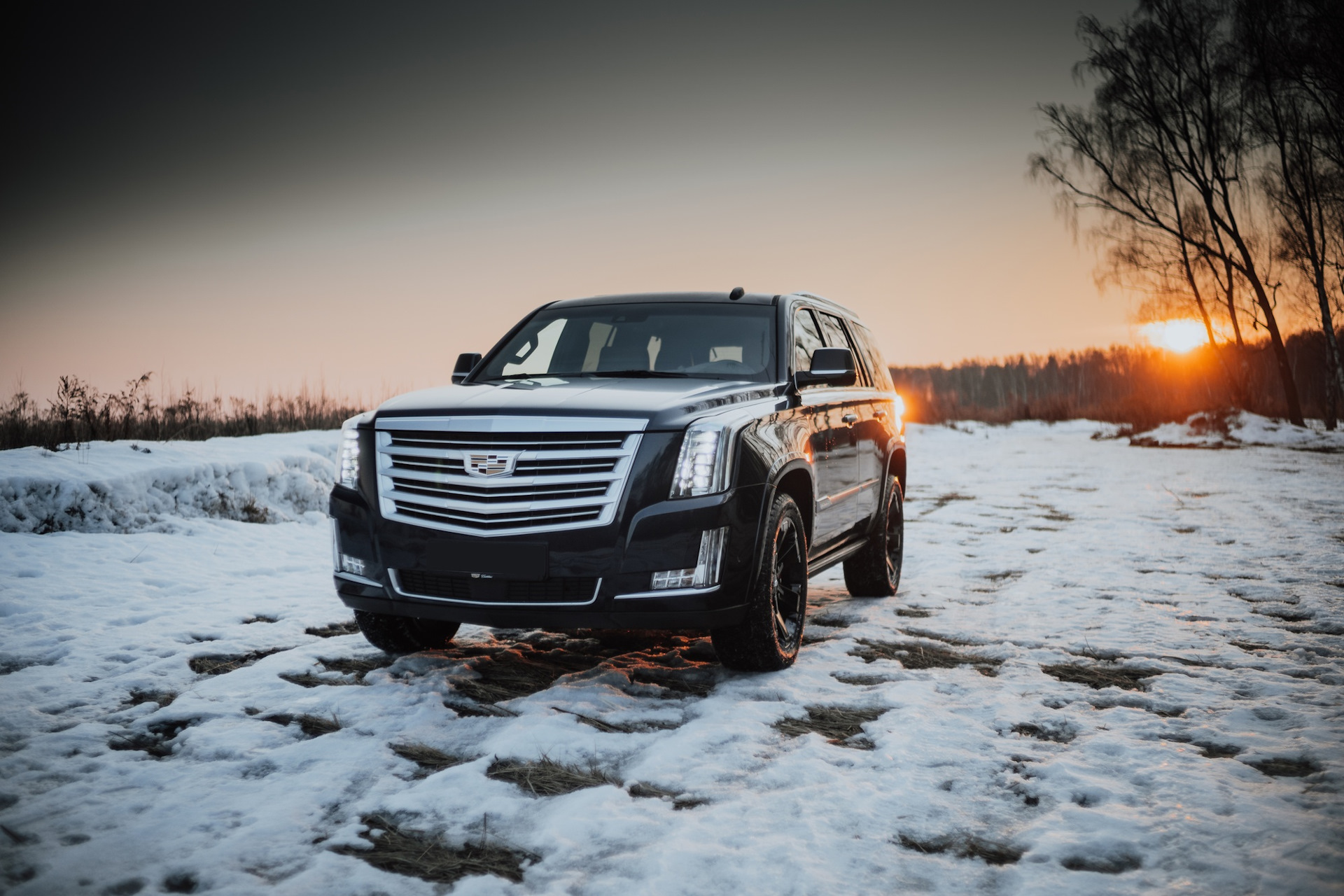 Cadillac Escalade 2015 бездорожье