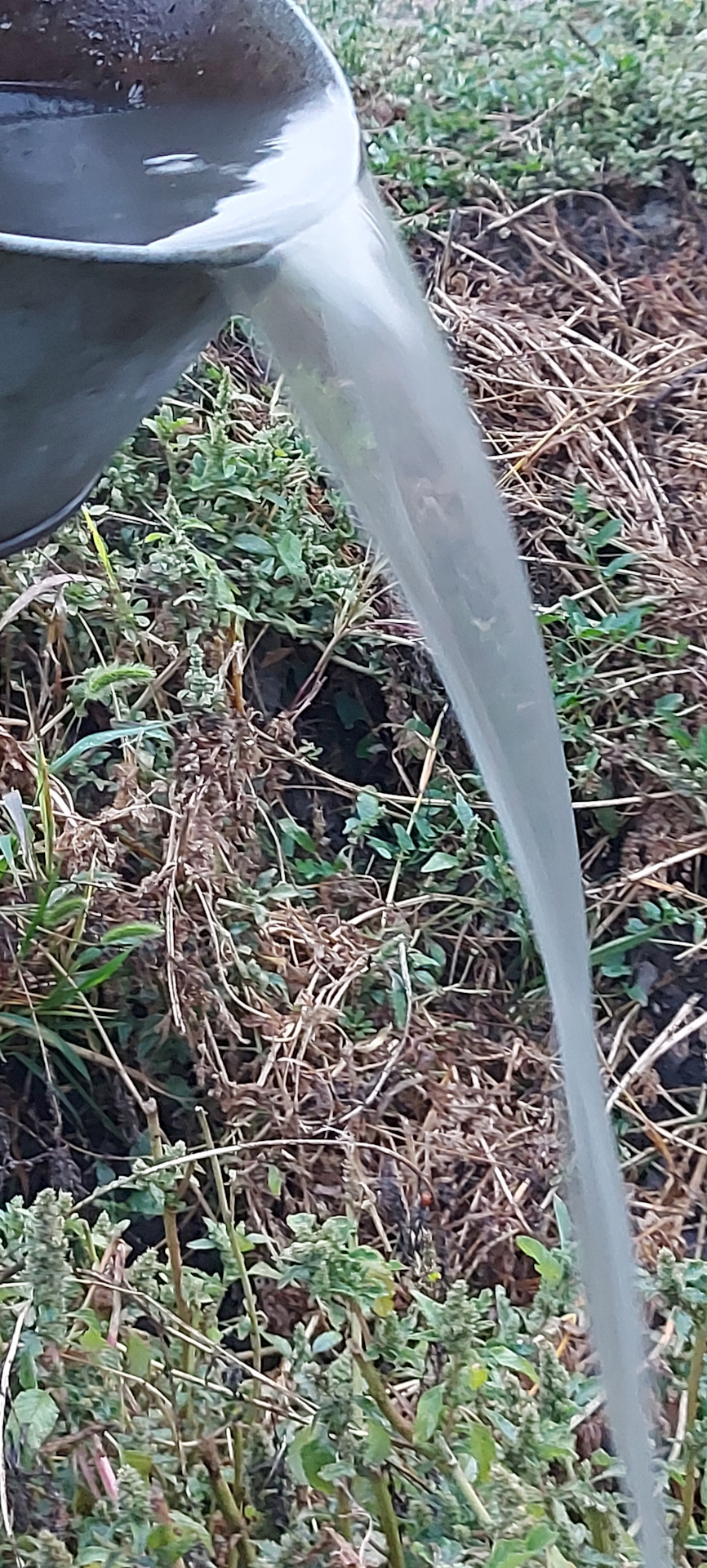 Большое ТО часть третья: замена антифриза с промывкой системы — Citroen ...