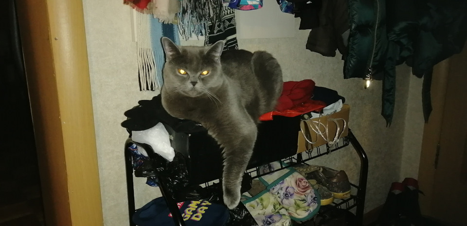 Фото в бортжурнале Volkswagen Polo Sedan