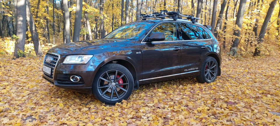 Фото в бортжурнале Audi Q5 (1G)