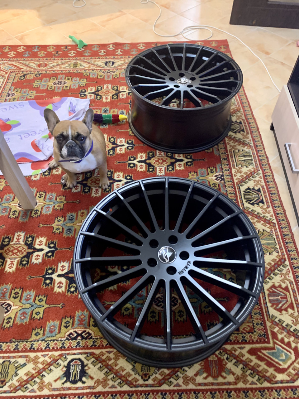 В пропорции с бульдогом) — Infiniti FX (2G)