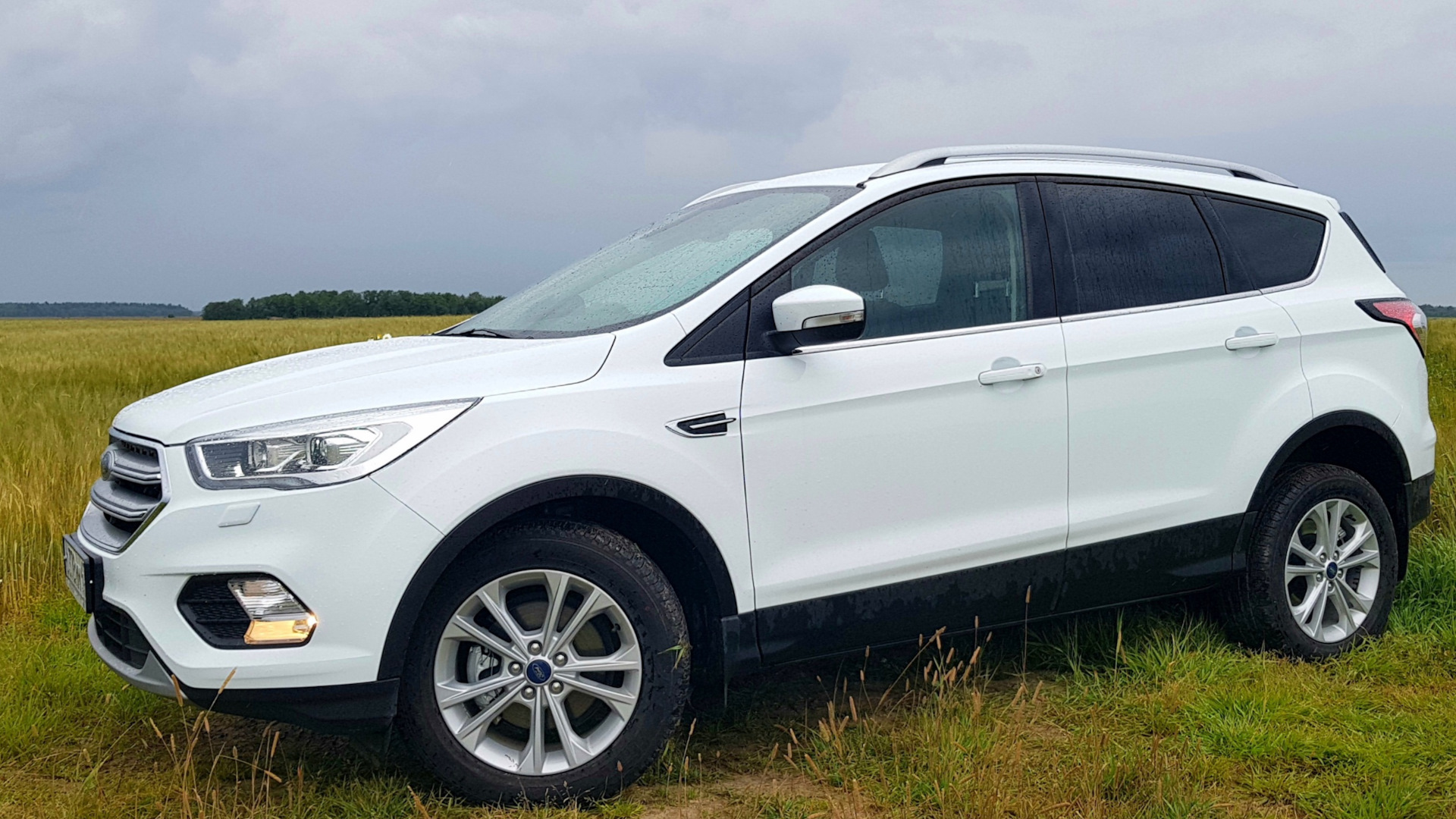 p1889 ford kuga