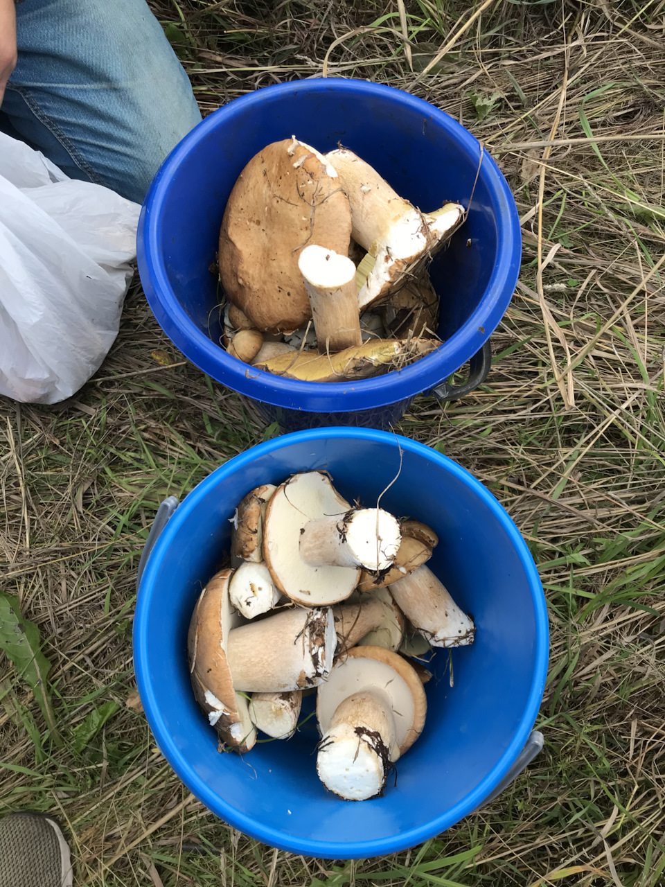 21. Реле дворников с регулировкой паузы, новые дворники, замена масла ...