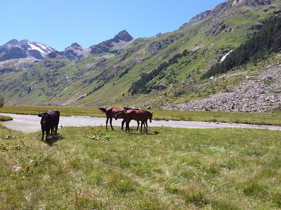 Поменял аккумулятор на Energizer — Toyota Chaser (80), 2 л, 1990 года ...