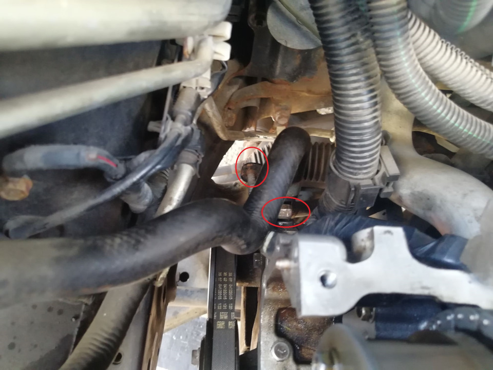 Ослабить ремень гидроусилителя, ключи 13 и 11 — Nissan Almera Tino