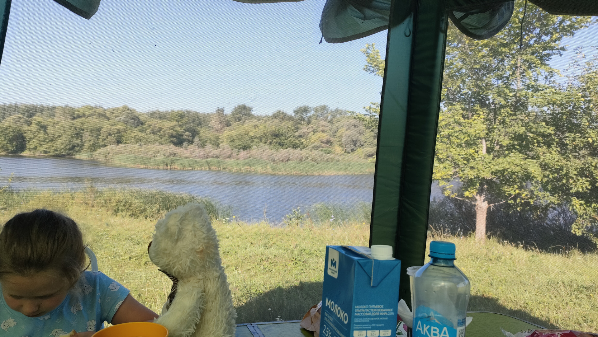 Отпуск 2023 (СПб-Парк Патриот-Волгоград-Спб). День 7-9. — ГАЗ Соболь ...