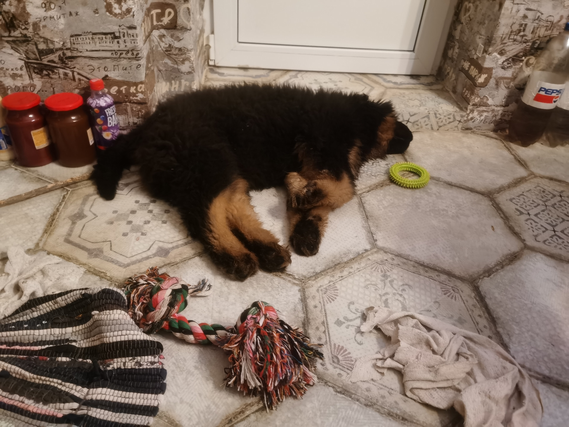 Пост Хвастовство . Салон. Химчистка, а надо ли ? — Toyota Corona (T190 ...