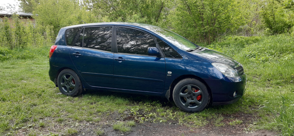 С праздником, одноклубники… — Renault Sandero Stepway (2G), 1,6 л, 2017 ...
