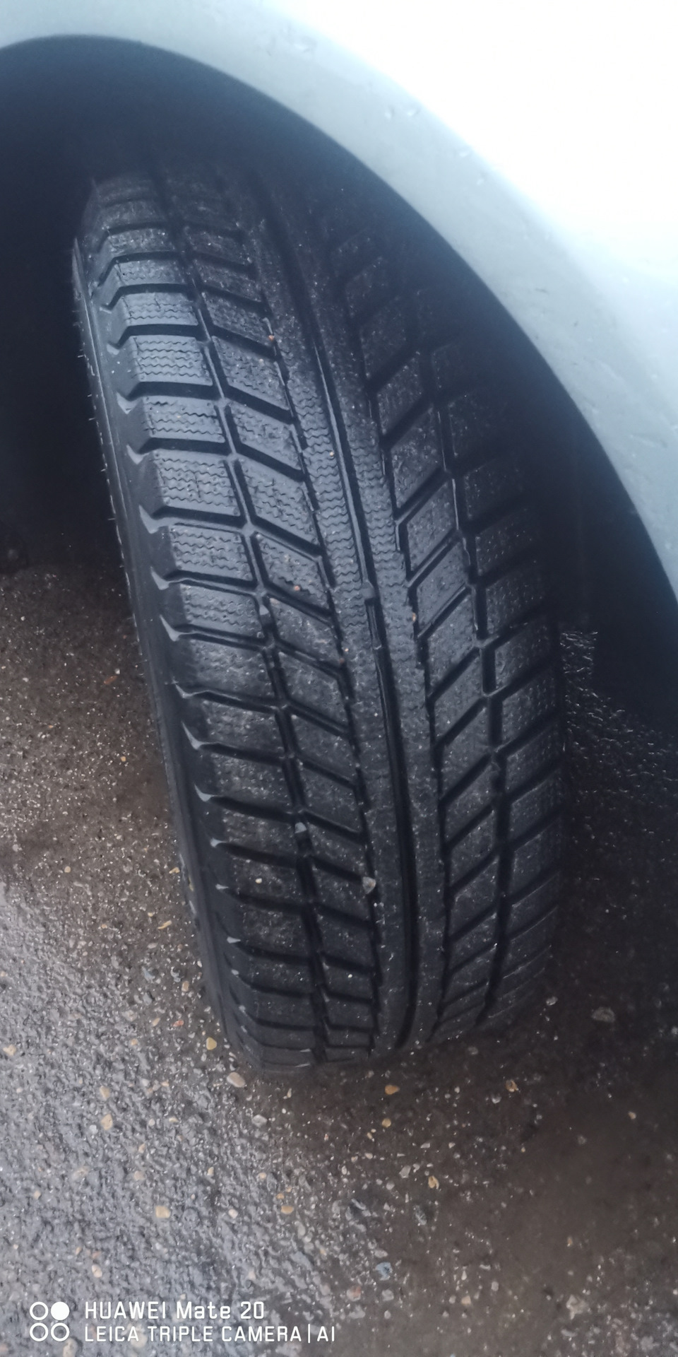Зимняя резина 205/55 R16 — Volkswagen Passat B6, 1,4 л, 2010 года ...