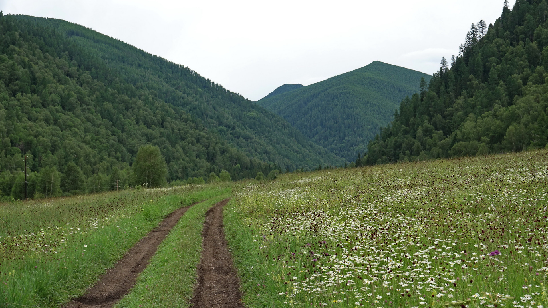 Белый Бом ретранслятор