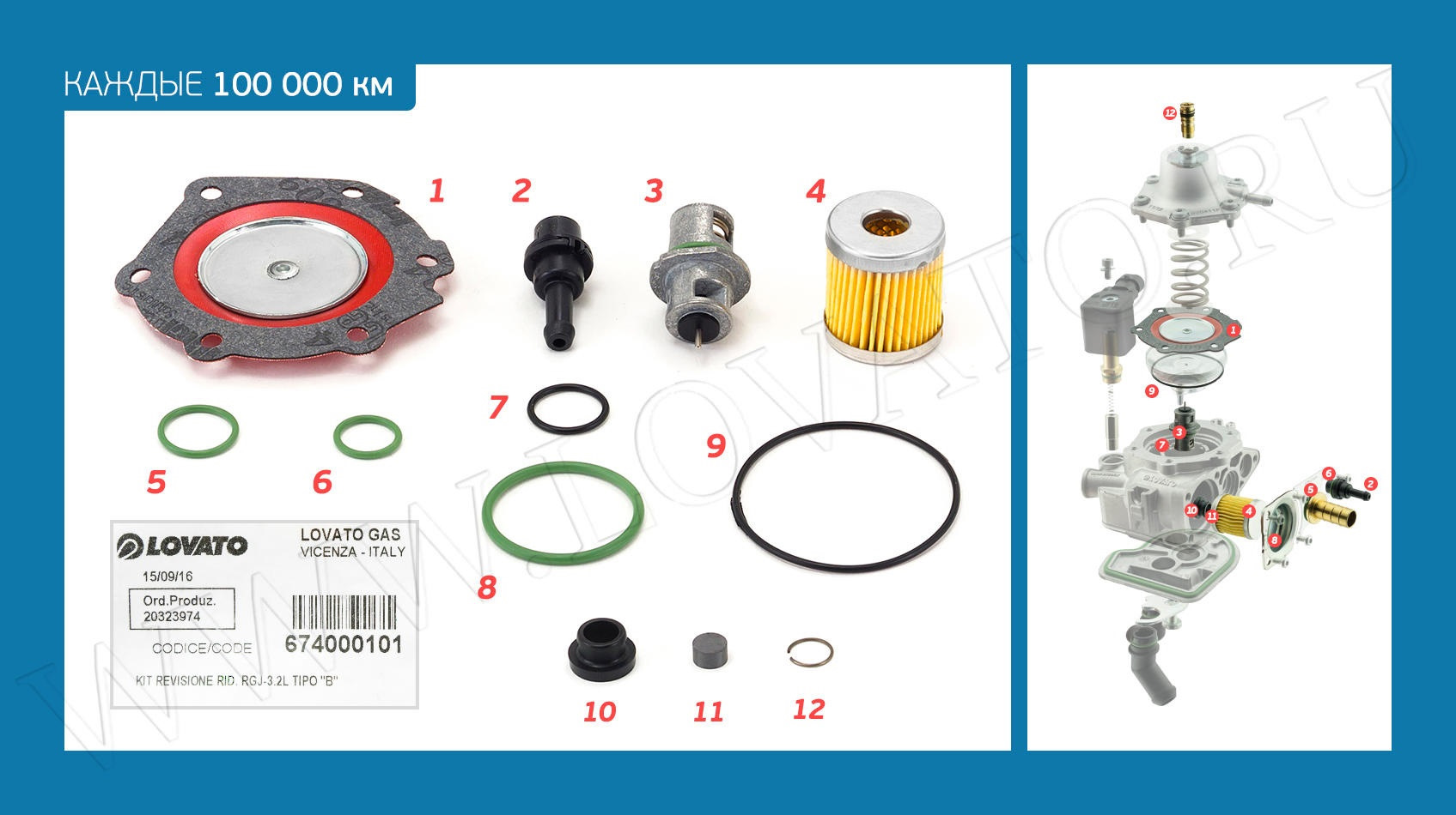 Ремкомплект 1 поколения. Ремкомплект редуктора Lovato RGJ-3.2L. Ремкомплект на газовый редуктор Lovato RGJ-3.2 L. Lovato ремкомплект редуктора 4 поколения. Ремкомплект Lovato RGJ-3/3.2/3.2L Тип ГАЗ 674000478.