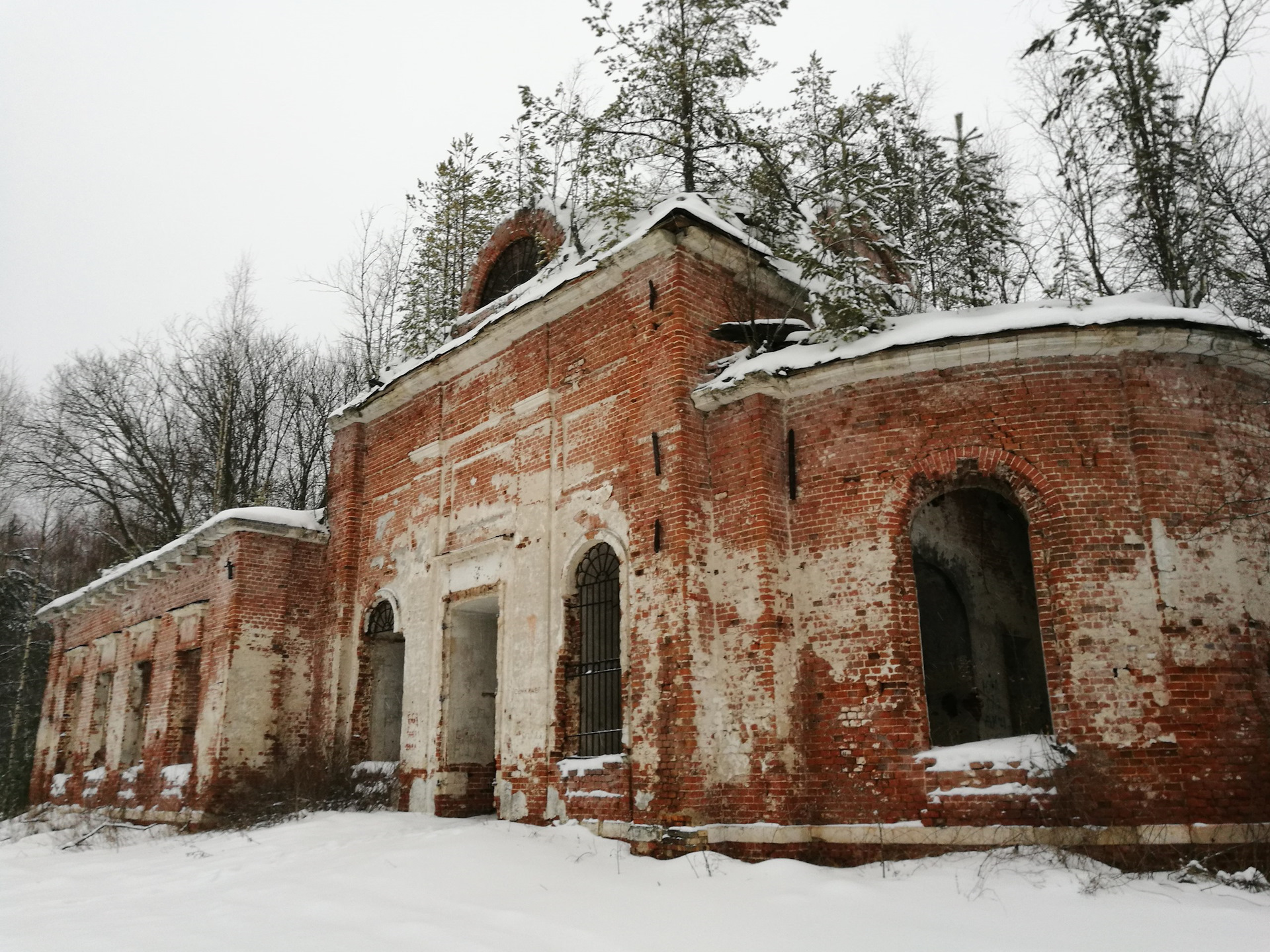 Урочище Илкодино Шатурский район