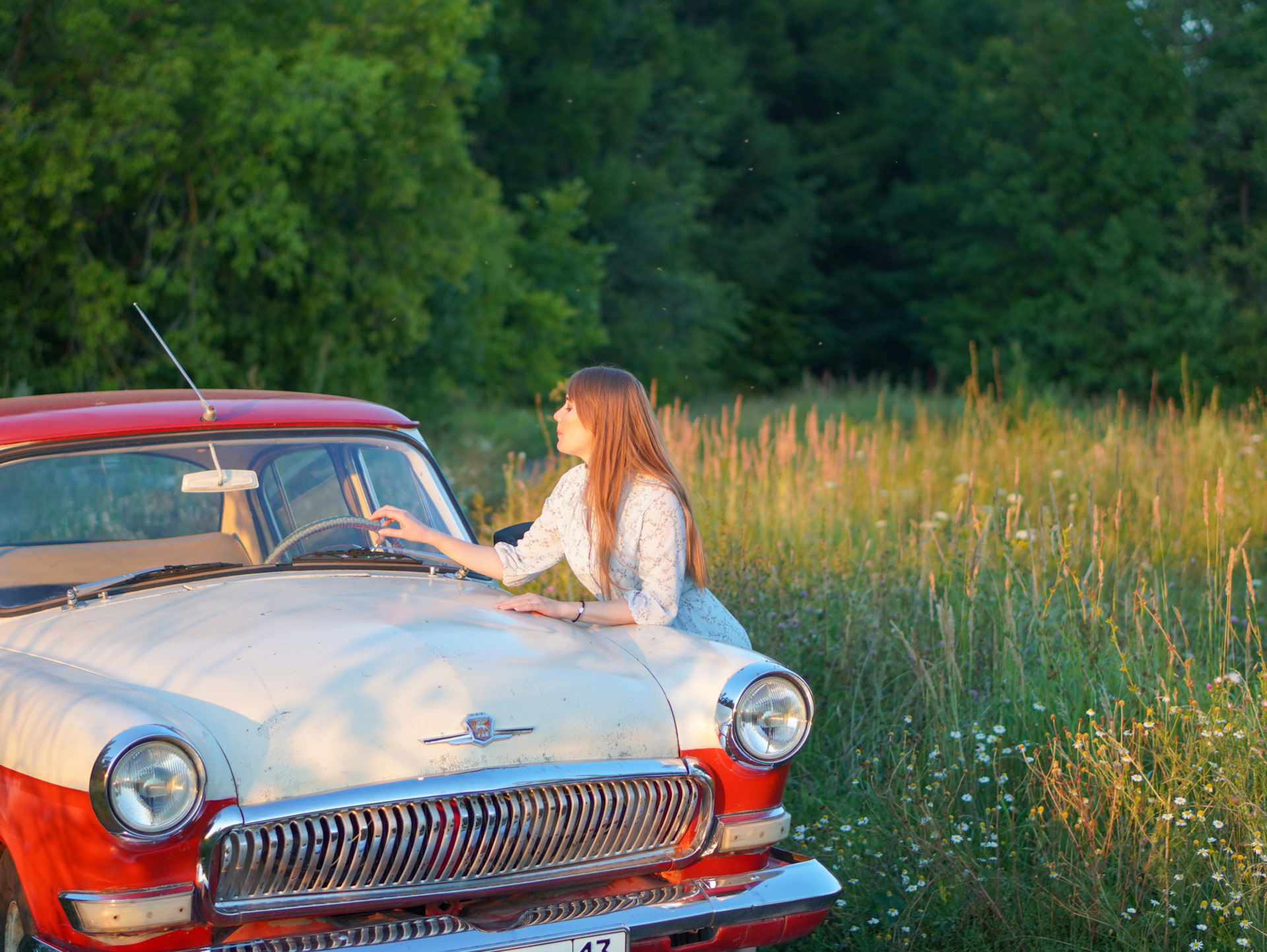 типы речи 7 класс русский язык. виктор потиевский ущелье. текст повествование. продолжение повествования. сочинение на тему случай в лесу.