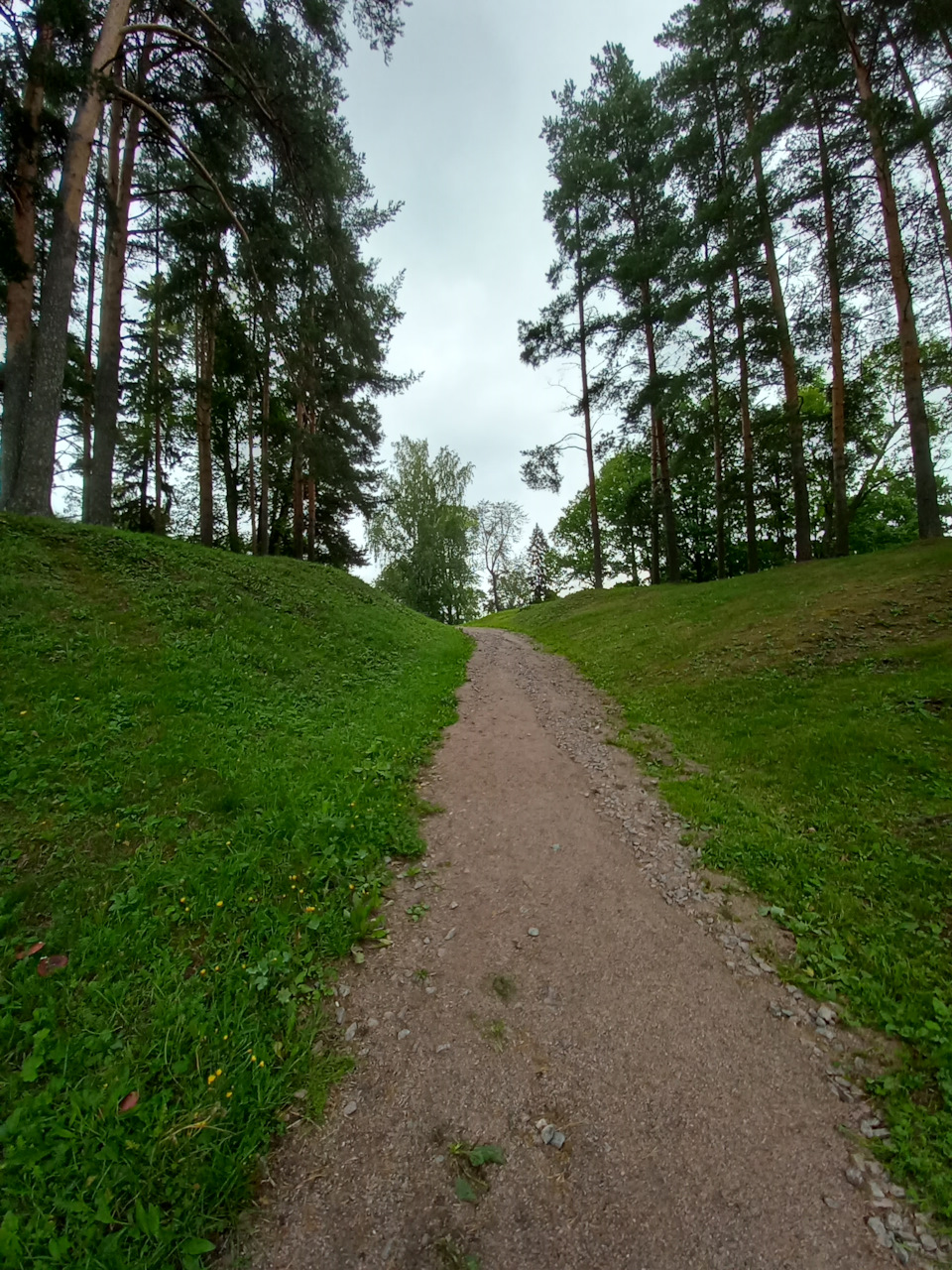 Фото в бортжурнале Renault Sandero 2G