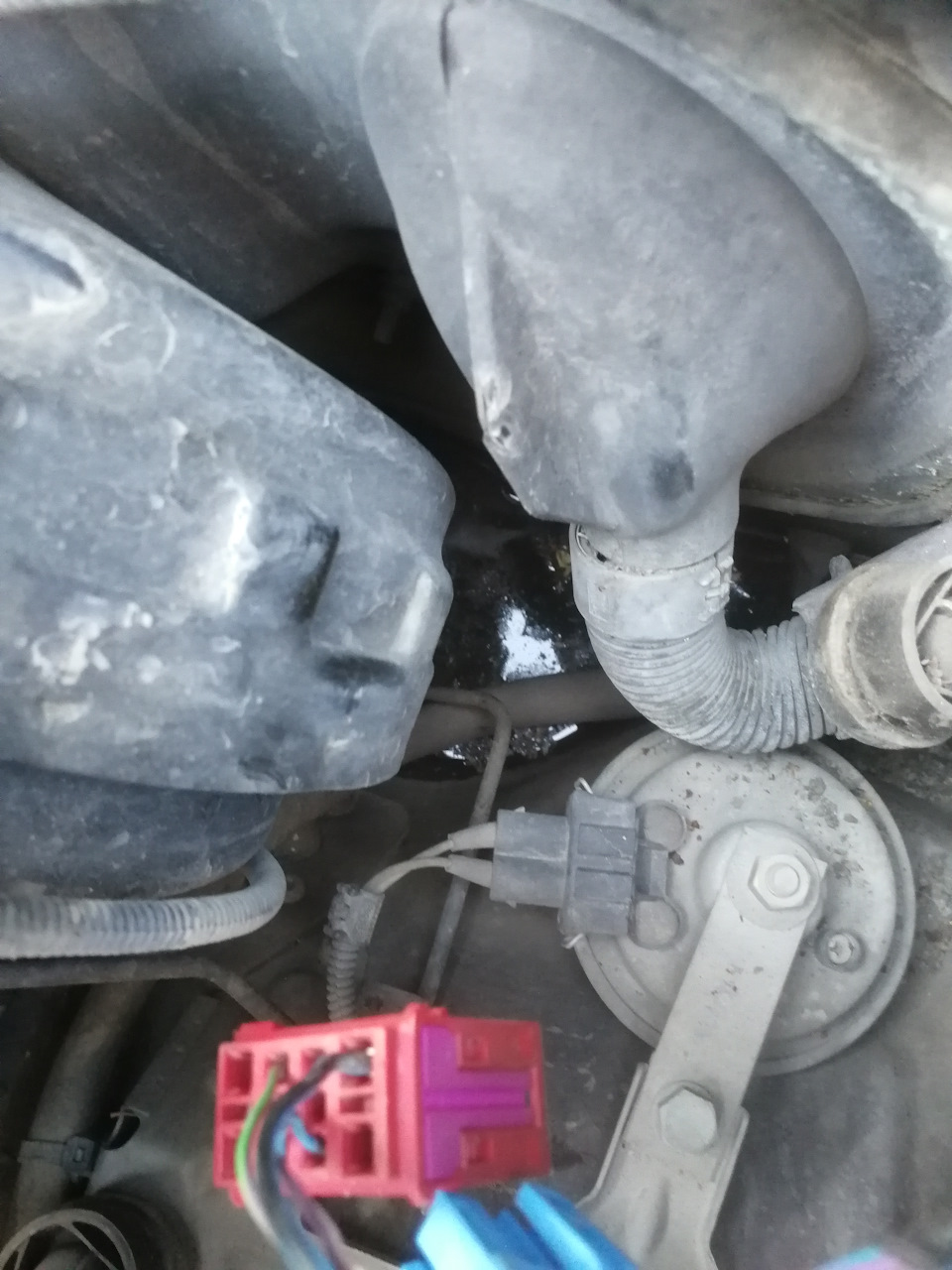 Лужа под водительским ковриком (( — Porsche Cayenne (1G) 955/957, 4,5 л ...