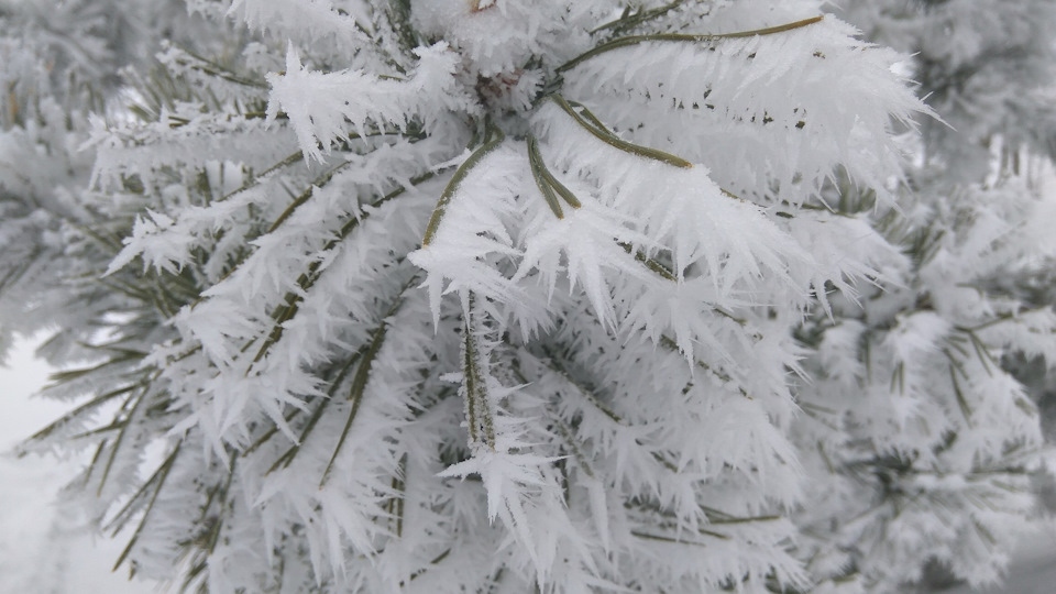 Фото в бортжурнале KIA Sorento (2G)