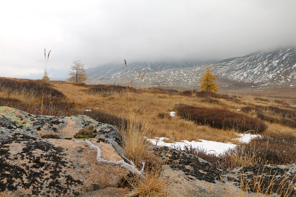 Фото в бортжурнале Toyota Land Cruiser 80