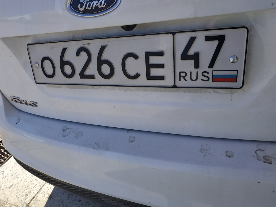 Фото в бортжурнале Ford Focus Sedan III