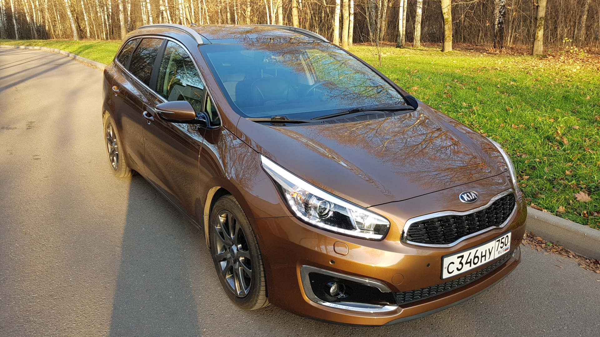 Л 2016. Kia Ceed SW 2021 коричневая. Kia Ceed SW Bronze Metal. Kia Ceed SW 2012 бронза. Киа СИД SW коричневый.