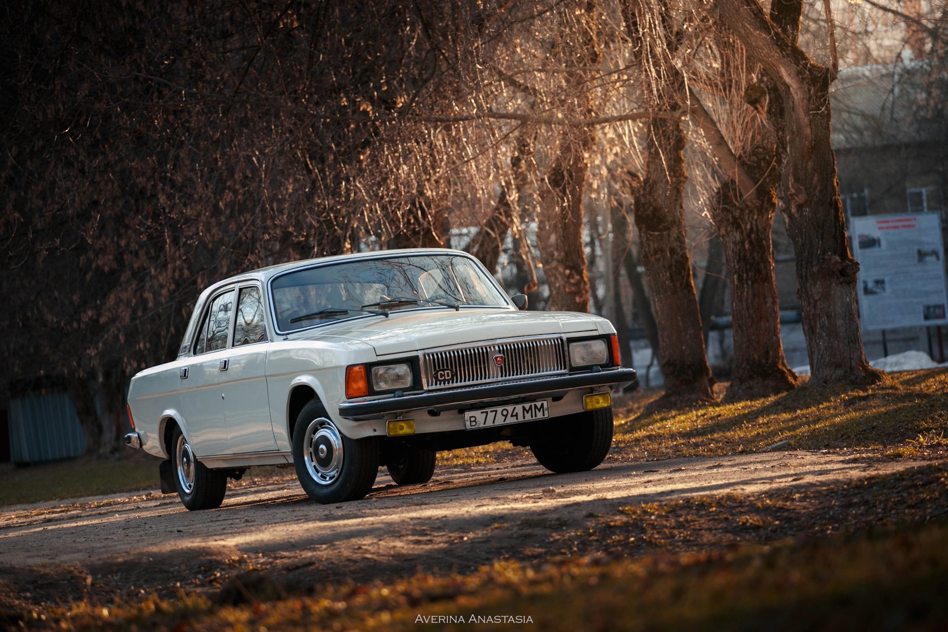 Фотки волги. Волга ГАЗ 3102. ГАЗ-3102 Волга 1981. ГАЗ 3102 3102. ГАЗ 3102 белая.