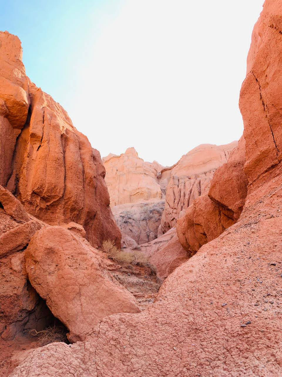 Не сорваны с петель Джунгарские ворота — Nissan Terrano III, 2 л, 2018 ...