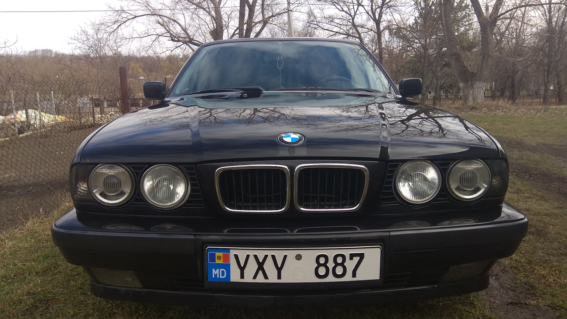 BMW 5 series (E34) 2.0 бензиновый 1995 | Баварский Волк ツ на DRIVE2