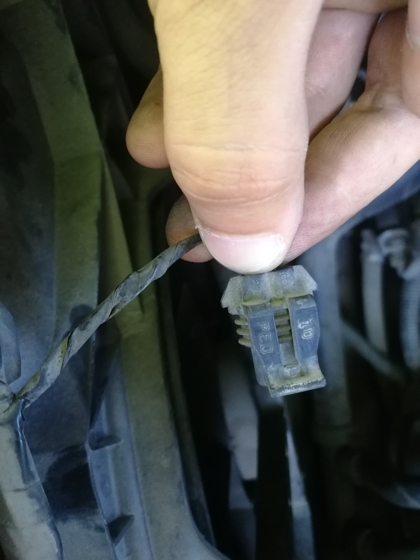 Купить разъем на рено лагуна 2. 38851 разъем рено лагуна. Фотографии диагностический разъём мазда под капотом. Разъемы рено лагуна 2. Купить разъем на рено лагуна 2.