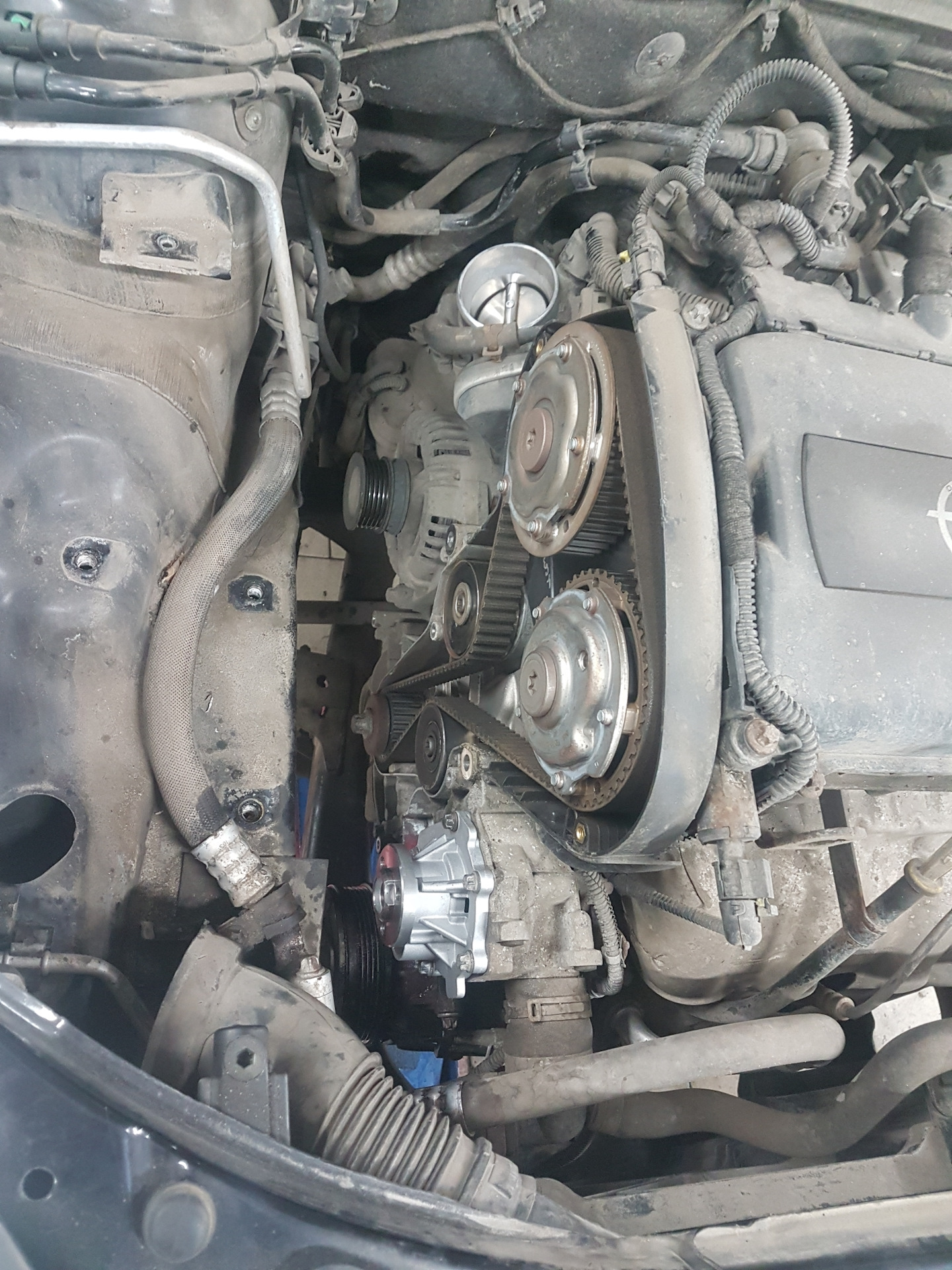 Ремонт Opel Astra — VARAOSA на DRIVE2