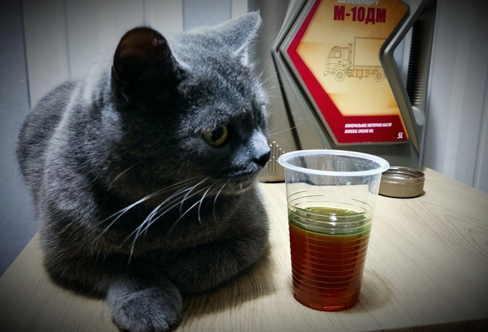 Роснефть М10ДМ в Hyundai Solaris. Очередное ТО. — Hyundai Solaris (1G ...