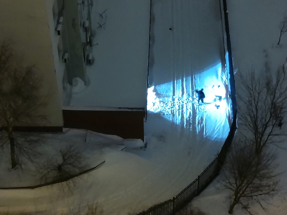 Скоро во дворах страны или жизнь без дворника — из окна дворника ...